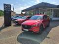 Mazda CX-5 2.5L SKYACTIV G 194PS 6AT FWD HOMURA COMH Rouge - thumbnail 3