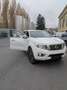 Nissan Navara 2.3 dci d.cab Acenta 4wd 163cv my19 - thumbnail 2