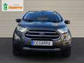 Ford EcoSport 1.0T EcoBoost 92kW (125CV) S&S Titanium Grigio - thumbnail 8