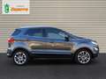 Ford EcoSport 1.0T EcoBoost 92kW (125CV) S&S Titanium Grigio - thumbnail 6