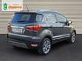 Ford EcoSport 1.0T EcoBoost 92kW (125CV) S&S Titanium Grigio - thumbnail 5