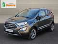 Ford EcoSport 1.0T EcoBoost 92kW (125CV) S&S Titanium Grigio - thumbnail 1