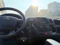 Citroen Jumper L2H2 2015 2.2 HDI 120CV COIBENTATO VARIE UNITA - thumbnail 12