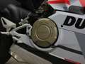 Ducati Panigale V4 PANIGALE V4 1103 S CORSE - thumbnail 11