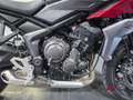 Triumph Tiger 70 sport 660 abs Rosso - thumbnail 13