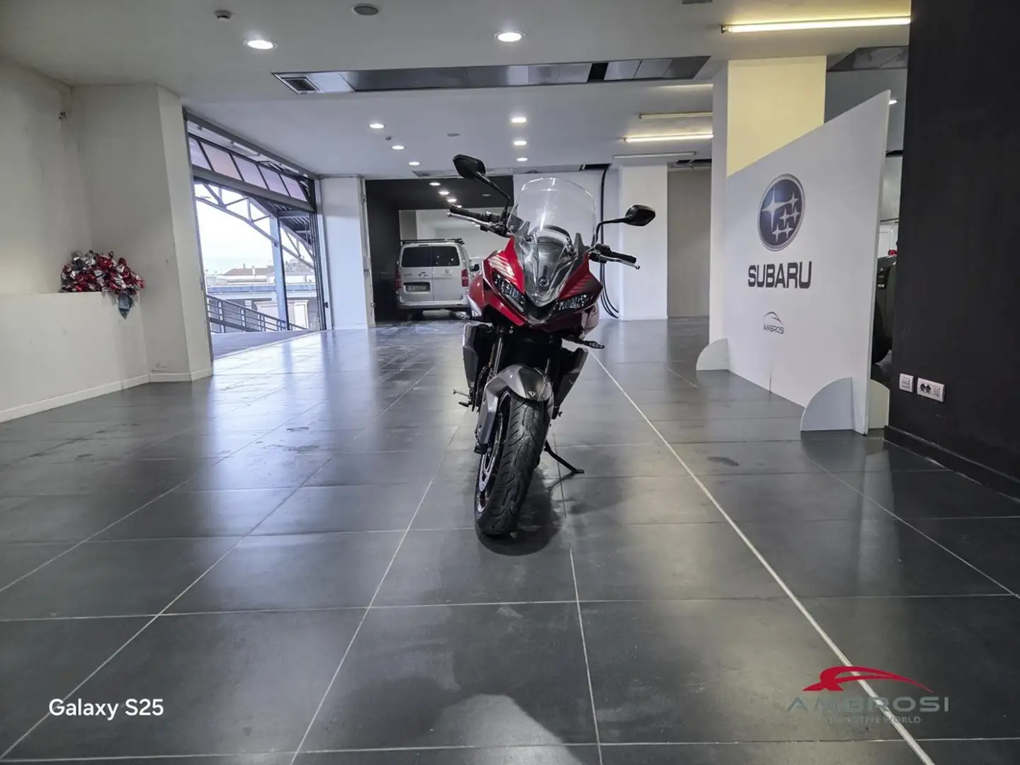 Triumph Tiger 70 sport 660 abs Rosso - 2