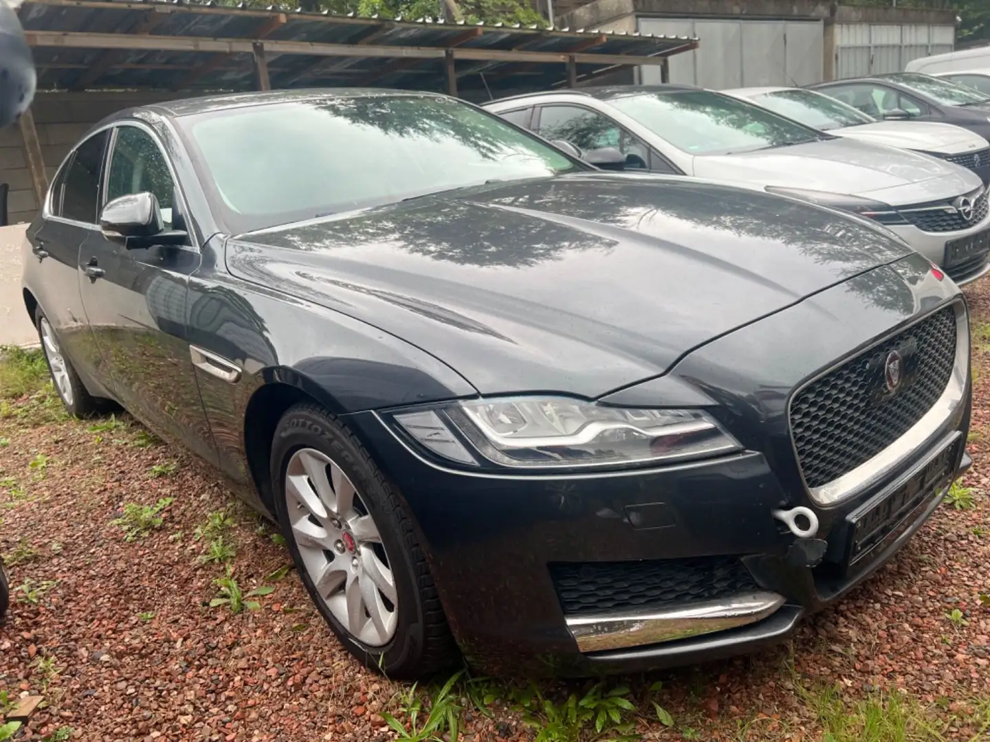 Jaguar XF Prestige AWD/MOTORSCHADEN! Szürke - 2