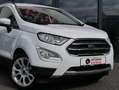 Ford EcoSport Titanium B&O RFK TEMPO Alb - thumbnail 6