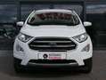 Ford EcoSport Titanium B&O RFK TEMPO Alb - thumbnail 4
