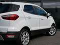 Ford EcoSport Titanium B&O RFK TEMPO Alb - thumbnail 24