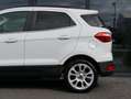 Ford EcoSport Titanium B&O RFK TEMPO Alb - thumbnail 10