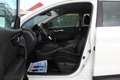 Nissan Qashqai Qashqai 1.5 dci Business 115cv Bianco - thumbnail 13