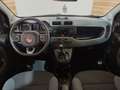 Fiat Panda Panda 1.2 Lounge easypower Gpl 69cv Beige - thumbnail 14