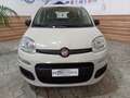 Fiat Panda Panda 1.2 Lounge easypower Gpl 69cv Beige - thumbnail 2