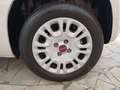 Fiat Panda Panda 1.2 Lounge easypower Gpl 69cv Beige - thumbnail 25