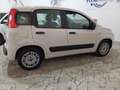 Fiat Panda Panda 1.2 Lounge easypower Gpl 69cv Beige - thumbnail 7