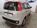 Fiat Panda Panda 1.2 Lounge easypower Gpl 69cv Beige - thumbnail 13