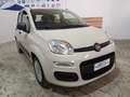 Fiat Panda Panda 1.2 Lounge easypower Gpl 69cv Beige - thumbnail 5