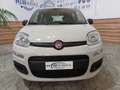 Fiat Panda Panda 1.2 Lounge easypower Gpl 69cv Beige - thumbnail 3