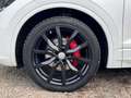 Volkswagen Touareg 4Motion V6 TDI SCR R-Line Aut. Weiß - thumbnail 29