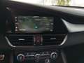 Alfa Romeo Giulia Veloce 2.0 GME 280PS Aut Awd Weiß - thumbnail 9