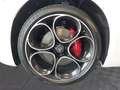 Alfa Romeo Giulia Veloce 2.0 GME 280PS Aut Awd Weiß - thumbnail 13