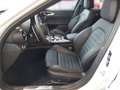 Alfa Romeo Giulia Veloce 2.0 GME 280PS Aut Awd Weiß - thumbnail 5