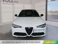 Alfa Romeo Giulia Veloce 2.0 GME 280PS Aut Awd Weiß - thumbnail 6