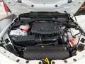 Alfa Romeo Giulia Veloce 2.0 GME 280PS Aut Awd Weiß - thumbnail 19