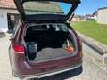 Volkswagen Golf Variant Golf Variant Alltrack BMT 2,0 TDI DSG 4Motion Alltrack Rot - thumbnail 16