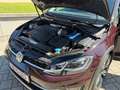 Volkswagen Golf Variant Golf Variant Alltrack BMT 2,0 TDI DSG 4Motion Alltrack Rot - thumbnail 15