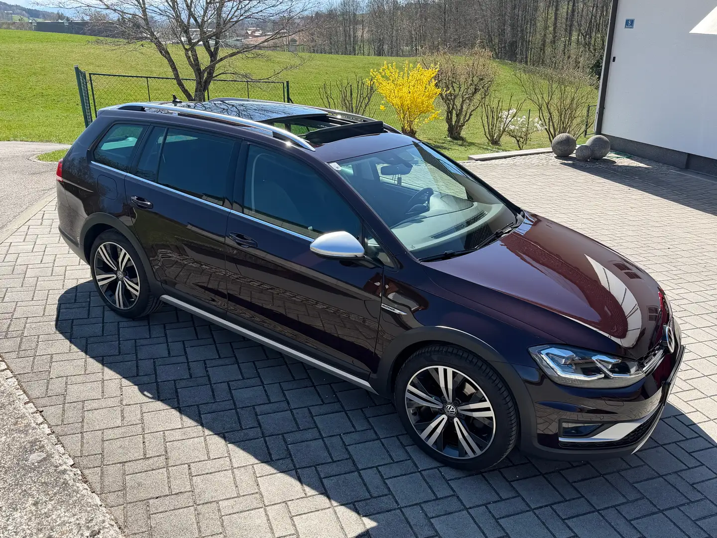 Volkswagen Golf Variant Golf Variant Alltrack BMT 2,0 TDI DSG 4Motion Alltrack Rot - 1