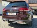 Volkswagen Golf Variant Golf Variant Alltrack BMT 2,0 TDI DSG 4Motion Alltrack Rot - thumbnail 9