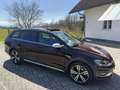 Volkswagen Golf Variant Golf Variant Alltrack BMT 2,0 TDI DSG 4Motion Alltrack Rot - thumbnail 11