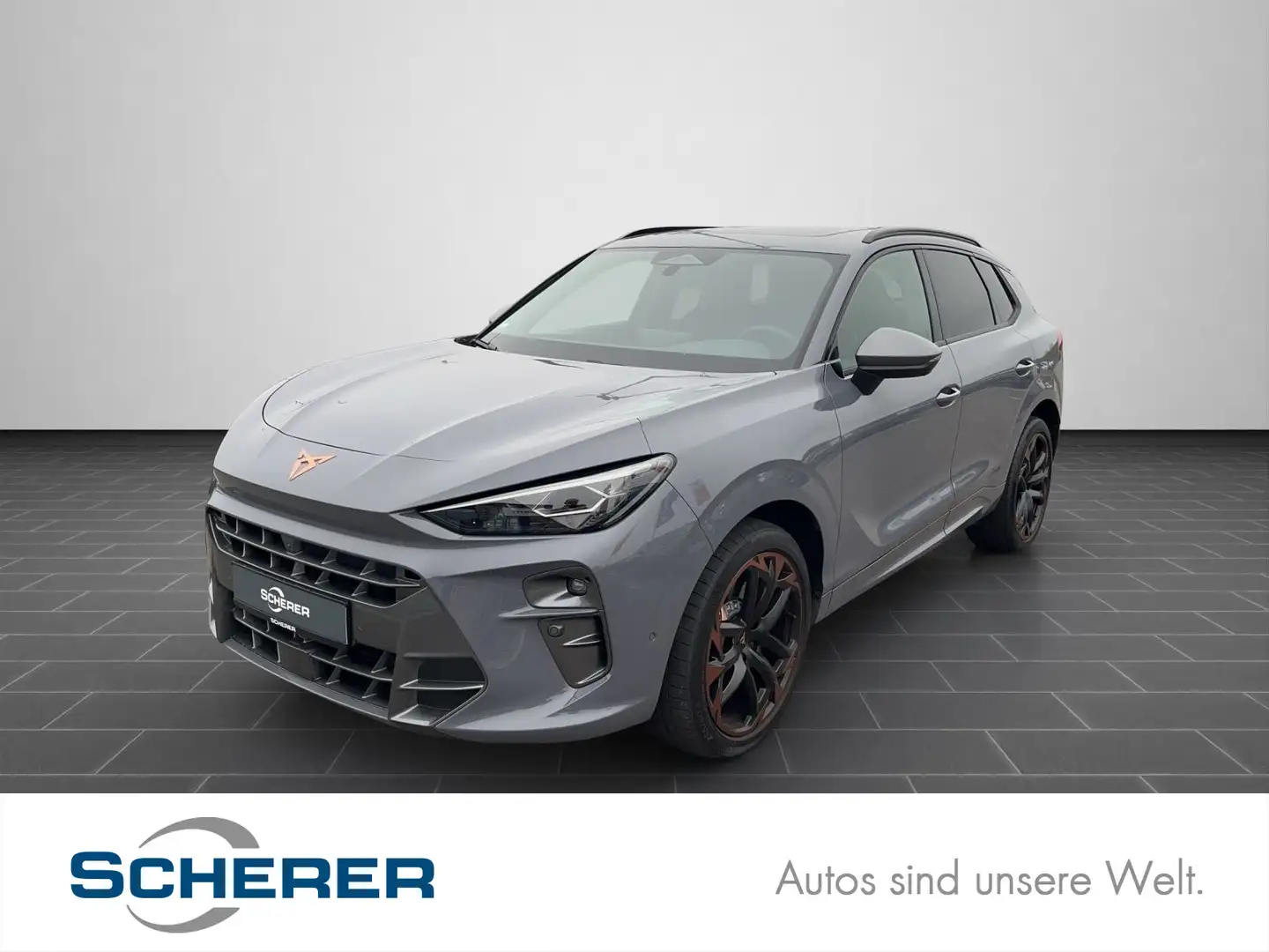 CUPRA Terramar CUPRA Terramar VZ 2.0TSI 4x4 MATRIX Kam 360 PANO Grau - 1
