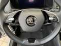 Skoda Karoq Tour 1.0 TSI Tempomat Rückfahrkamera Silber - thumbnail 15