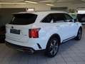 Kia Sorento Spirit 4WD Plug-In Hybrid ACC BOSE 360° Biały - thumbnail 7