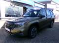 Subaru Forester 2.0ie Trend 2025 Modell Vert - thumbnail 1