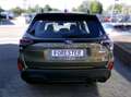 Subaru Forester 2.0ie Trend 2025 Modell Vert - thumbnail 7