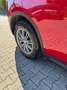 Alfa Romeo Stelvio Stelvio 2.2 t Super rwd 160cv auto Rouge - thumbnail 4