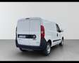 Fiat Doblo cargo 1.4 tjt n.po. 120cv CH1 Business Bianco - thumbnail 4