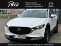 Mazda CX-30 2.0L e-SKYACTIV X 186ps 6MT FWD Exclusive-line DAS Weiß - thumbnail 1