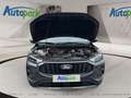 Ford Kuga FHEV Titanium CVT 4WD Grau - thumbnail 9