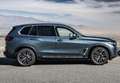 BMW X5 xDrive 40dA Gris - thumbnail 30