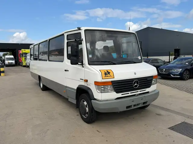 Mercedes-Benz Vario 0813 (Stock ID 48900)