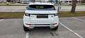 Land Rover Range Rover Evoque SE Dynamic 2,0 TD4 Aut. - thumbnail 13
