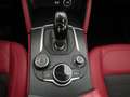 Alfa Romeo Stelvio 2.2 t Executive Q4 210cv auto  * PREZZO REALE * crvena - thumbnail 15