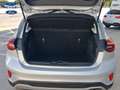 Ford Focus 1.0 Ecoboost MHEV Active 155 Aut. Plateado - thumbnail 11