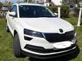 Skoda Karoq Karoq 1,6 TDI Style DSG Aut. Style Weiß - thumbnail 1