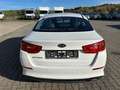 Kia Optima Edition 7 Leder, Alufelgen, Sitzheizung, Blanc - thumbnail 5